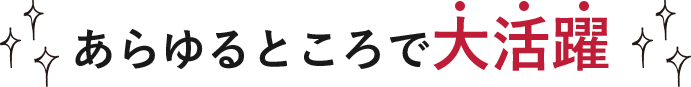 歩くをしっかりサポート